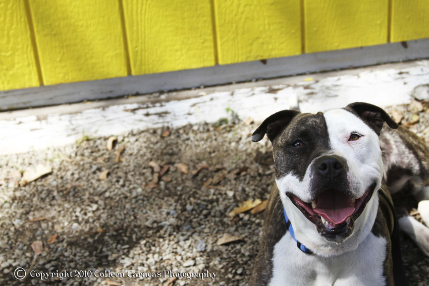 Ruby- itsthepits.org