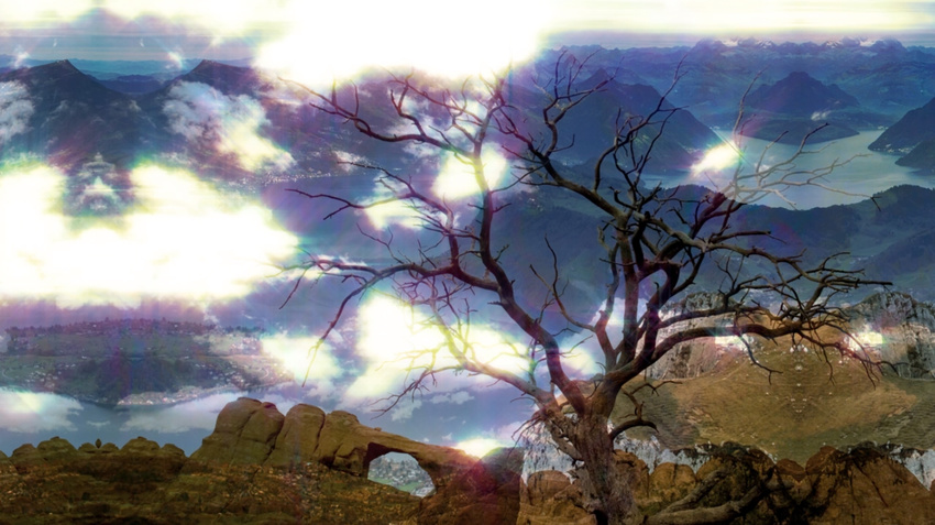 Looping Slideshow: Landscapes (2010)