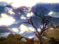 Looping Slideshow: Landscapes (2010)
