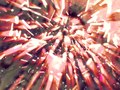 The Calling of Lord Solaris (2011)