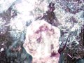 Quest For The Spheroid (2012)