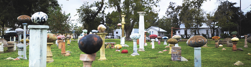 Bert L. Long, Jr.: "Field of Vision", Photo ©Cyndy Allard