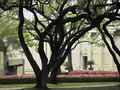 Original Wing of the Museum of Fine Arts, Houston
