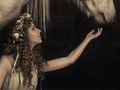 Fallen for the Unicorn
