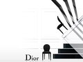 Pitch for Dior