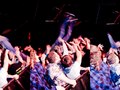 cage the elephant. cat's cradle. 2.23.10