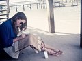 sophia bush for apholis.com