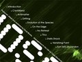Moscow CD Project - Back Cover