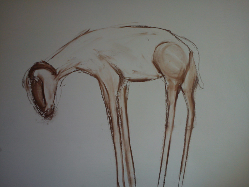 goat drawing. conte on paper.