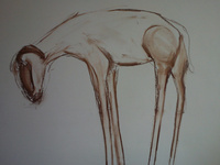 goat drawing. conte on paper.