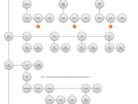 FleaFlicker.com iPhone Application Site Map