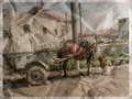 Tirana