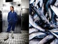 Gourmet Magazine