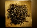 Tea house Chaikhana
