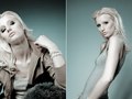 Annie Oliv for Lavish Design