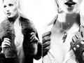 Annie Olive for Lavish Design