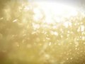 Showreel 2010