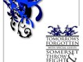 Flyer design for Throw The Fight