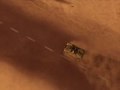 Desert chase