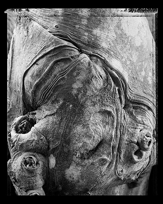 Hermès - The wrinkles of life Exhibition - India