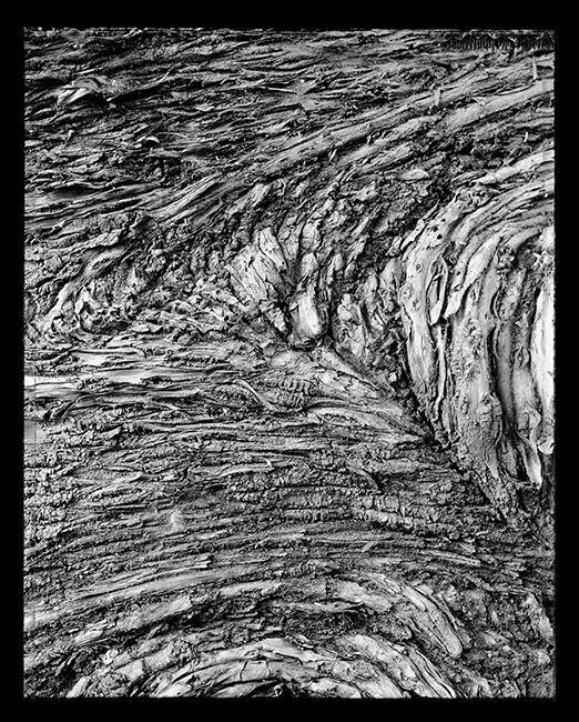Hermès - The wrinkles of life Exhibition - France