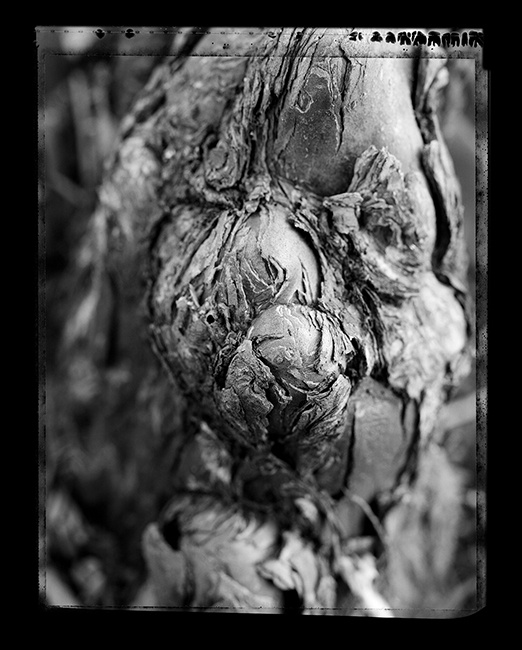 Hermès - The wrinkles of life Exhibition - France