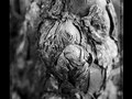 Hermès - The wrinkles of life Exhibition - France
