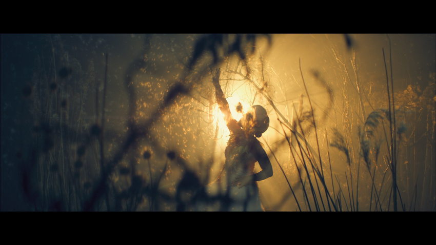 Hannah Schneider - I can see the forrest