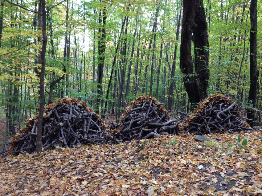 Land Art