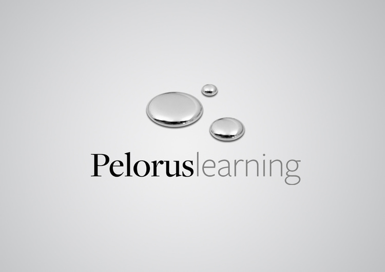 Logo identity | Pelorus Learning, leadership development