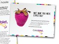 Data sheet and box insert for CHROMiX