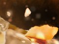 Slant_ short film