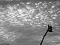 Overlooking BOOM Fest 2010. Idanha Nova, Portugal. E.U.