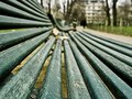 Typical Parisian park bench. Paris 16eme, France.