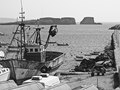Rehabbing an old fishing boat for the next season. Sagres, Portugal.