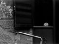 NAPLES