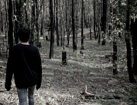 Their Journey
