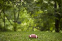Gitman Vintage