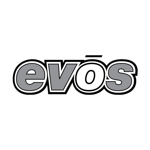 Logo design for new consumer electronics division at SYNNEX. Final name chosen was NEXCE.