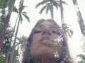 under the royal palms