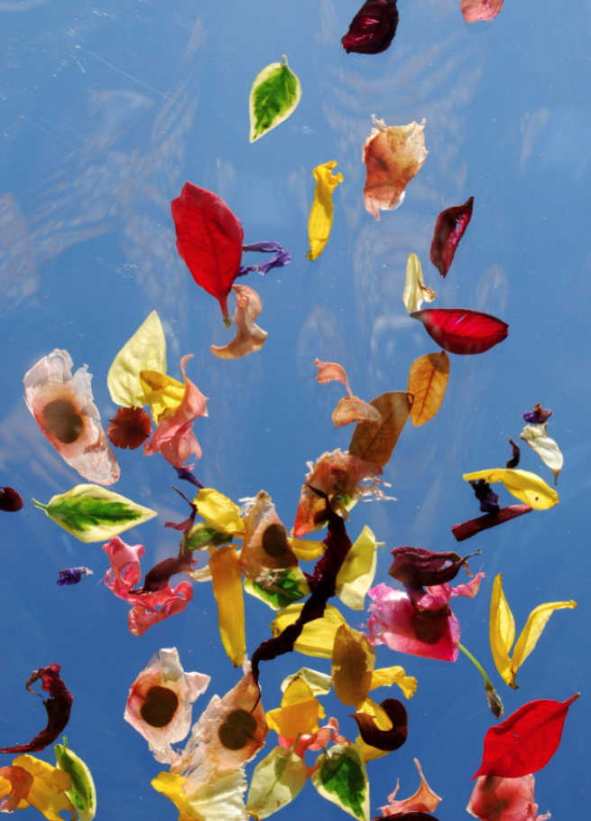 Title: Love, Artist: Petrina Hannan, Medium: Photography, PRICE €60 (SOLD)