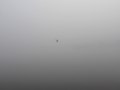 Title: Peace, Artist: Timothy Alexander, Medium: Digital C-Type print mounted on dibond, PRICE €350