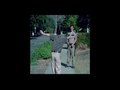 "WATCH THE ROAD" PSA   35mm ARRI+ZEISS