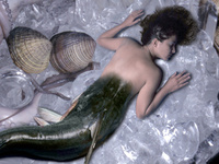 sirena