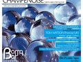 Champenoise art promotion - Branding for International Travelling Gallery program