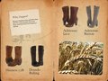 zappos shoe catalog