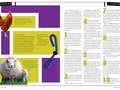 craigslist magazine