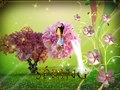 Mrs Spring
