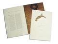 Concept and design of architectural brochure, M&T Bank Corporation