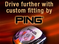 Ping web ads—self-promotional piece.